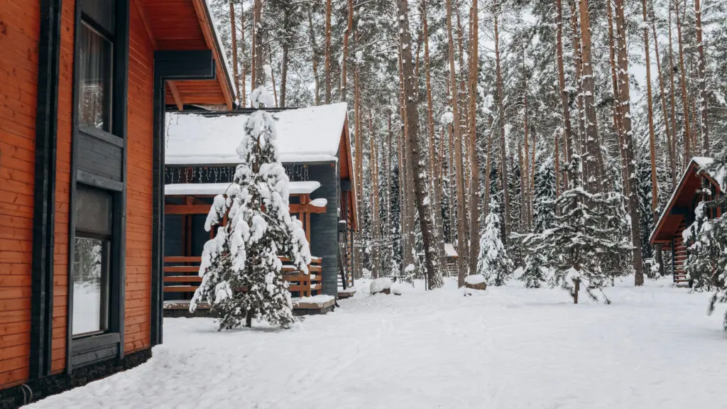 Ski-Chalets