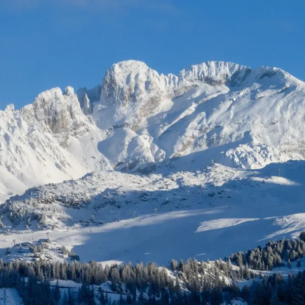 La tania