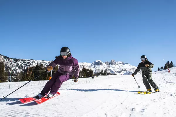 paralleles Skifahren