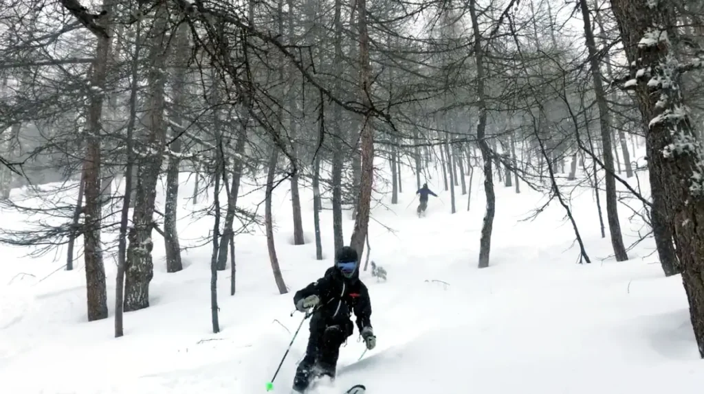 In Le Fornet's trees