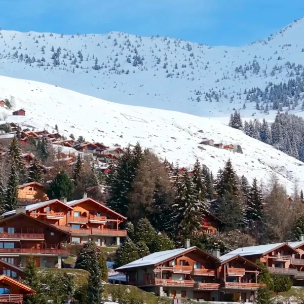 Why choose the Verbier work and train course