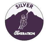 Silver Star Proride Badge